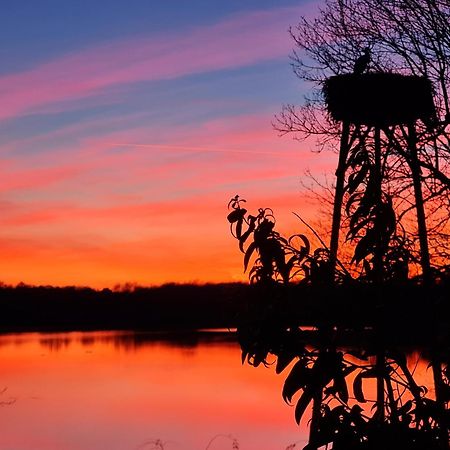 Bed and Breakfast Domaine Castetbieilh Tercis-les-Bains Esterno foto