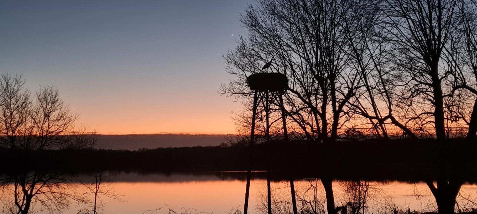 Bed and Breakfast Domaine Castetbieilh Tercis-les-Bains Esterno foto